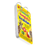 Golden Age Flashcards Complete Vocabulary